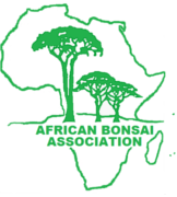 Webpage African Bonsai Association