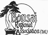 Bonsai Regional Association TVL
