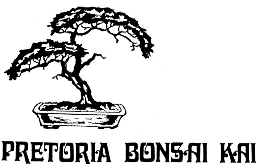 Web Page Pretoria Bonsai Kai - Northern Pretoria